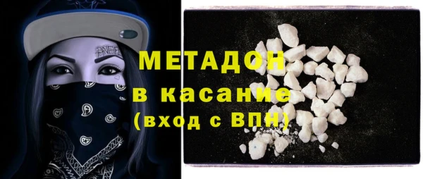 индика Богданович