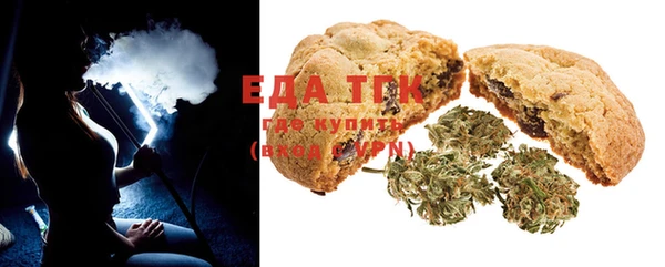 индика Богданович