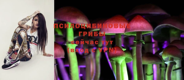 дмт Богородск