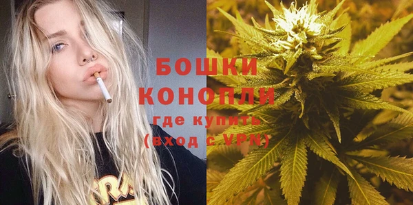 дмт Богородск
