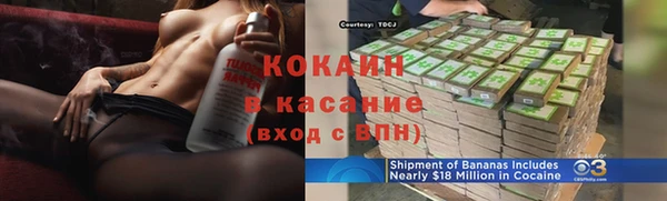 индика Богданович