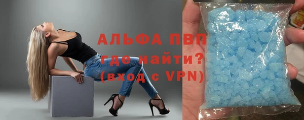 индика Богданович