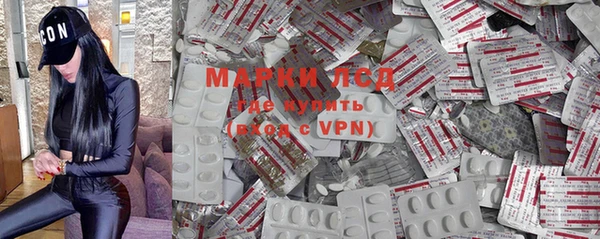 индика Богданович