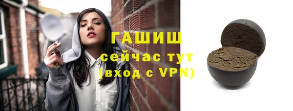 индика Богданович