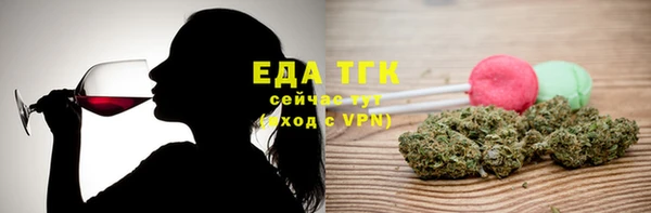 индика Богданович