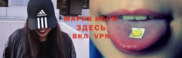 дмт Богородск