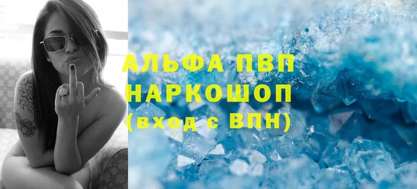 индика Богданович