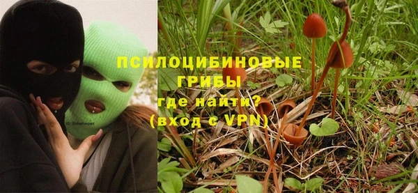 эйфоретик Богородицк